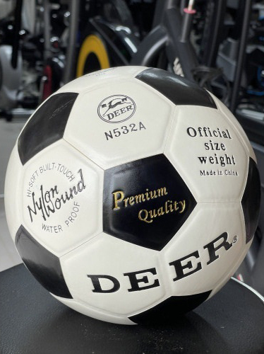 Premium Quality Football – High Durability Match Ball